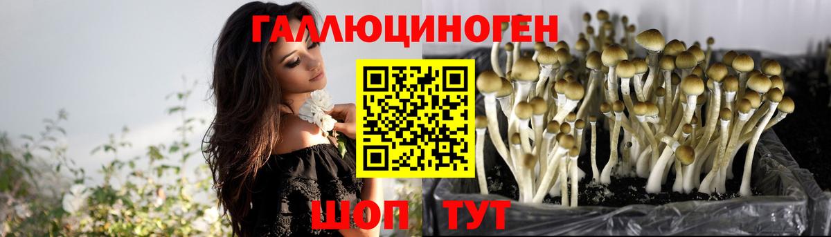 Псилоцибиновые грибы прущие грибы  Псилоцибиновые грибы MAGIC MUSHROOMS  Вход с VPN  Тосно 